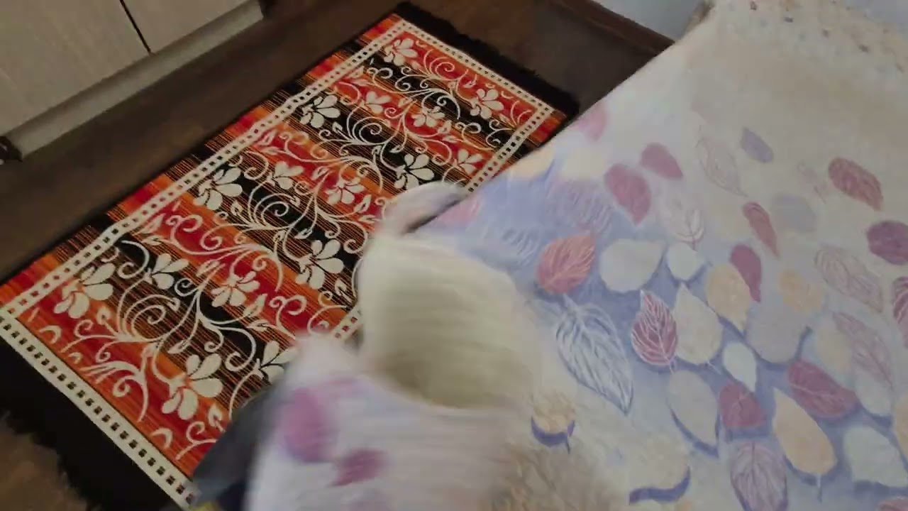 Tur video  Apartament 2 Camere Titan Bucuresti