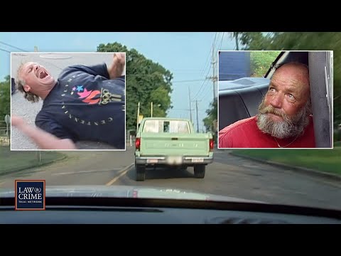 Stolen Vehicle Police Chase Ends in Brutal Takedown (COPS)