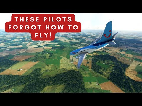 How The PANDEMIC Almost Crashed A Passenger Jet | TUI 1665