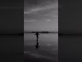 Likha Hai Kya Naseebo Mein Mohabbat Ka Khuda Jaane Status Full Screen 4k Hd Status Lofi Arjit Singh