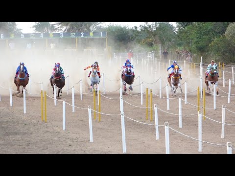 II Derby Bahia Futurity - Uma das corridas mais disputadas do ano!