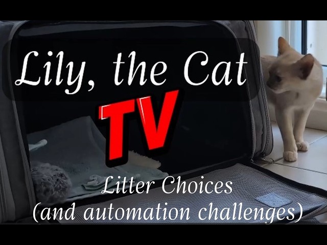 Judge.me YouTube video placeholder