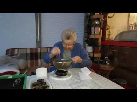 Hannelore Klabes über Artemisia Annua in Deutschland