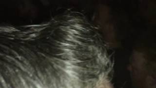 The Twang Cloudy Room. Birmingham O2 Academy 17/12/16 Twangmas