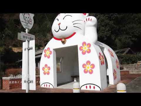 Discovery MIYAWAKA ショートムービー