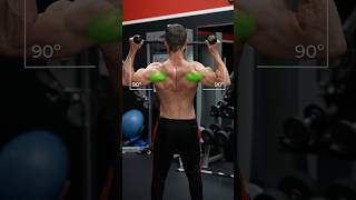 The 3 Greatest Rear Delt Exercises (NOT FLYS!)