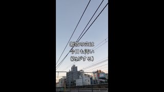 社畜廃人の元旦の過ごし方講座