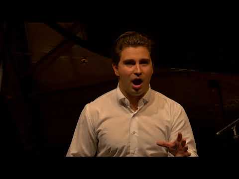 51st IVC 2017 - Opera | Oratorio - Semi-finals - Anton Kuzenok, tenor (Russia)