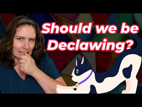 Cat Declaws - Should They Ever Be Considered? | A Veterinarian Discusses The Research