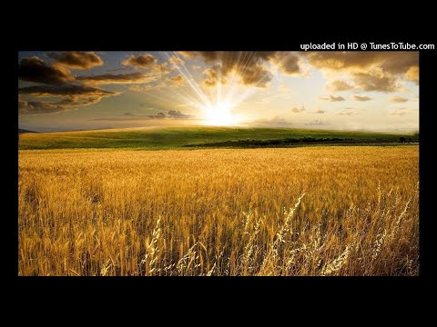 Bjorn Akesson & Jwaydan - Xantic (Aly & Fila vs Bjorn Akesson Remix)