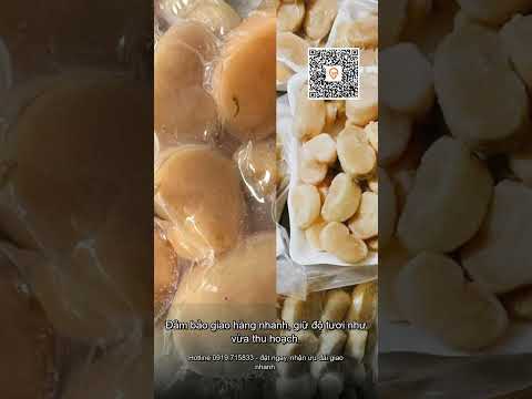 Đanh bàn mai( cơ trai) biển Cô Tô Quảng Ninh nhà Anh Thơ- 1kg đanh chuẩn đẹp