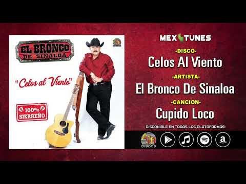 El Bronco De Sinaloa - Cupido Loco (100% Sierreño)