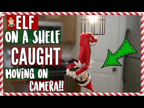 ELF ON A SHELF CAUGHT MOVING!! (Again) Video