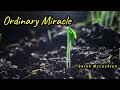 Ordinary Miracle