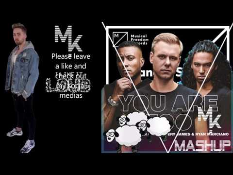 Armin Van Buuren, SJRM, Quintino, Garmiani, Mike Candys - You Are Epic Insomnia Too