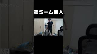 【ムーニーマン】猫ミーム芸人【猫ミーム】