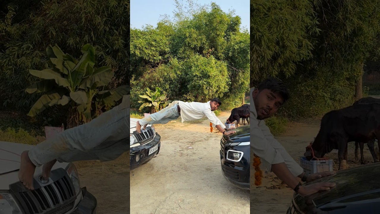 @xavier_mortimer와 함께하는 또 다른 마법 챌린지