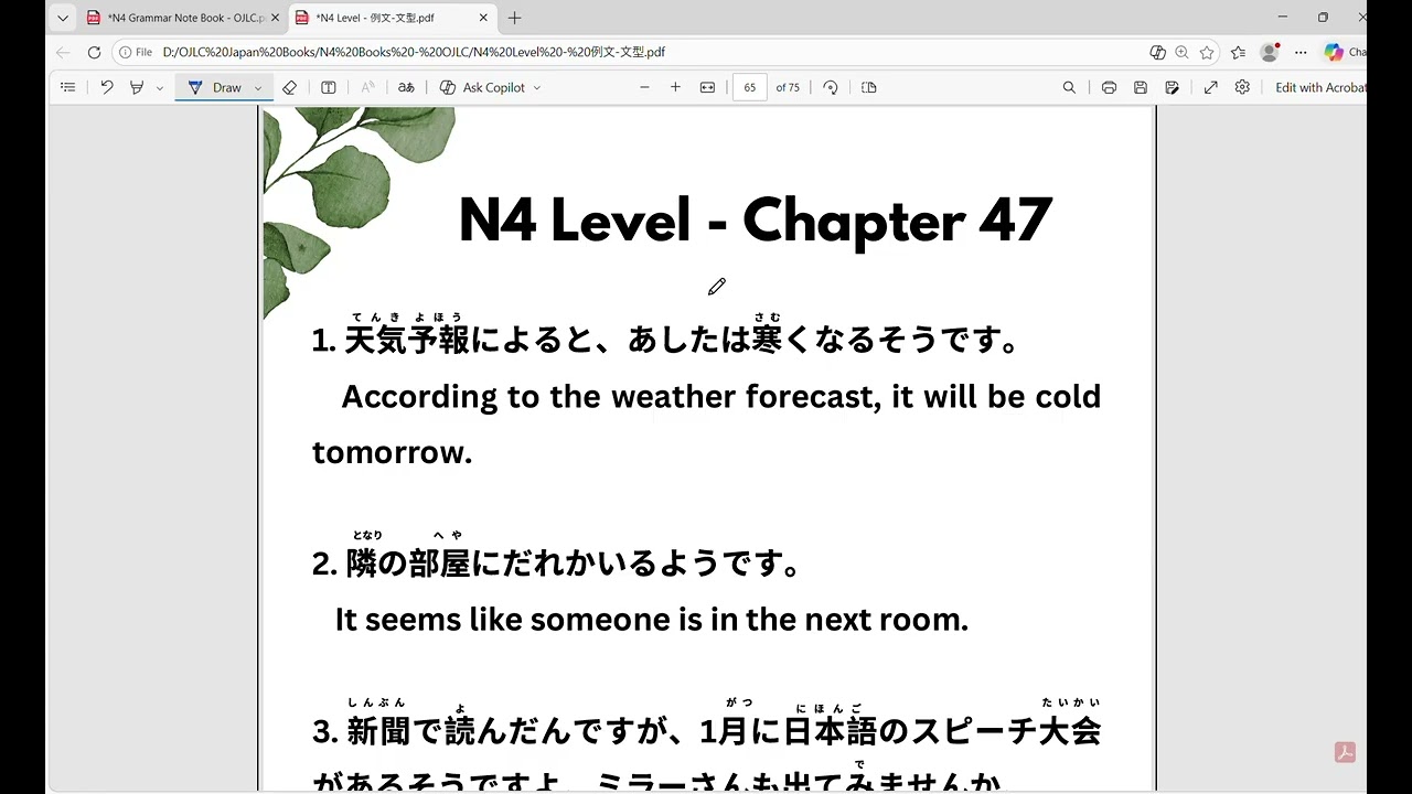 N4 grammar - chapter 47
