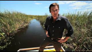 MIAMI EVERGLADES SNAKES