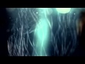 Akron/Family - "Cast A Net" (Official Video)