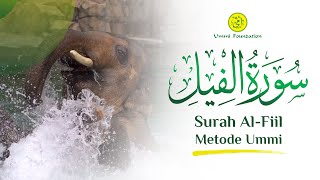 Download lagu MUROTAL SURAH AL-FIIL (GAJAH) | METODE UMMI mp3 Download lagu MUROTAL SURAH AL-FIIL (GAJAH) | METODE UMMI mp3