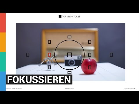 Was ist fokussieren? Wie fokussiere ich? Fotografie Einsteiger
