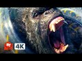 Godzilla X Kong The New Empire 2024 4K Kong Vs Giant Snake Movieclips