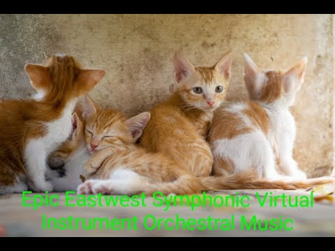 Epic Eastwest Symphonic Virtual Instrument Orchestral Music