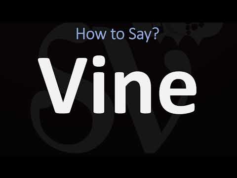 How to Pronounce Vine? (CORRECTLY)