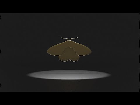 The Legend Of The Mothman - Tomm