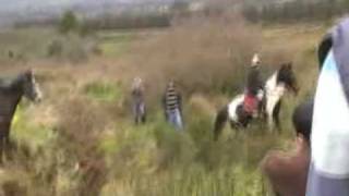 preview picture of video 'Kingdom Hunt Club-Abbeyfeale hunt pt10'