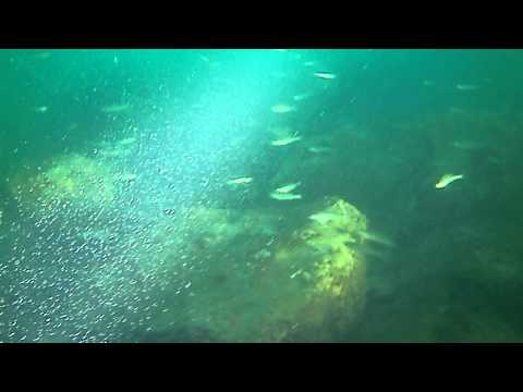 Schleuse Port bei Biel