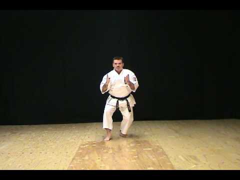 Seiunchin Kata of Isshin-Ryu Karate Michael Calandra