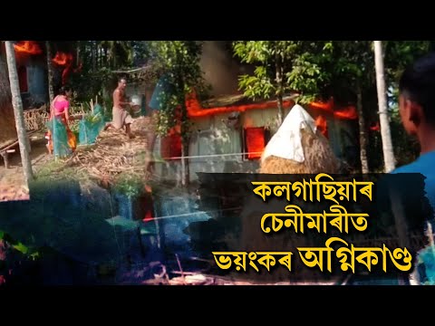 কলগাছিয়াৰ চেনিমাৰীত ভয়ংকৰ অগ্নিকাণ্ড