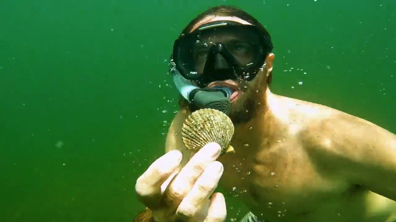 Come Explore Florida's Nature Coast