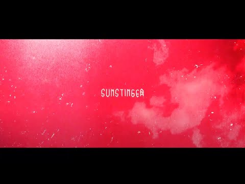 Sunstinger - Nothing's Alright, Leave Me Alone (Official Music Video)
