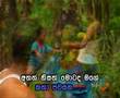 Danagaddhi Evidinna
