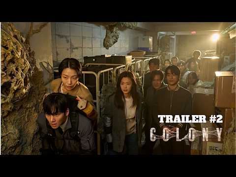 Colony
