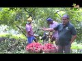 Agriculture And Main Exports In Sri Lanka