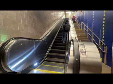 MTA Modernized Elevators