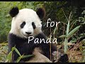 Animal Alphabet Wmv