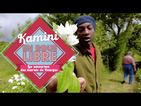 Cher : Kamini découvre les marais de Bourges et ses maraichers