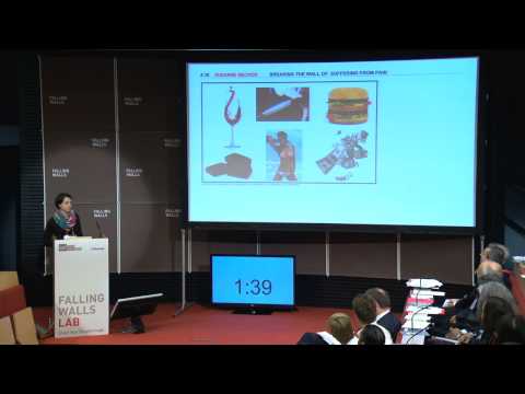 Susanne Becker - Breaking the Wall of Suffering from Pain @Falling Walls Lab 2014