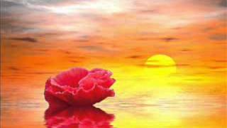 Michael Brook - Reintroduction / Strangeprocession II / Darkerroom [Instrumental] (BellCurve)