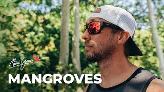 Maui Jim Mangroves