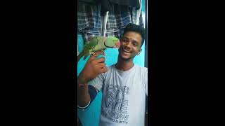 Meetu Parrot Talking WhatsApp statusin Tamil