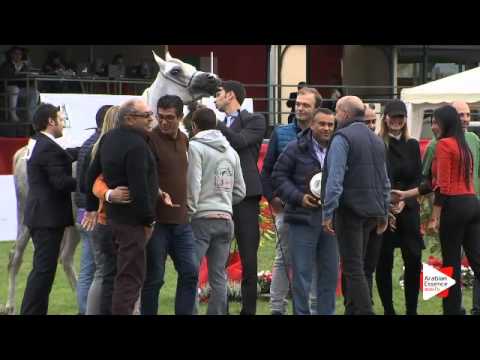 2nd Place N.90 TF ESMERALDA - Arezzo 2015 - Junior Fillies Championship (Class 17)