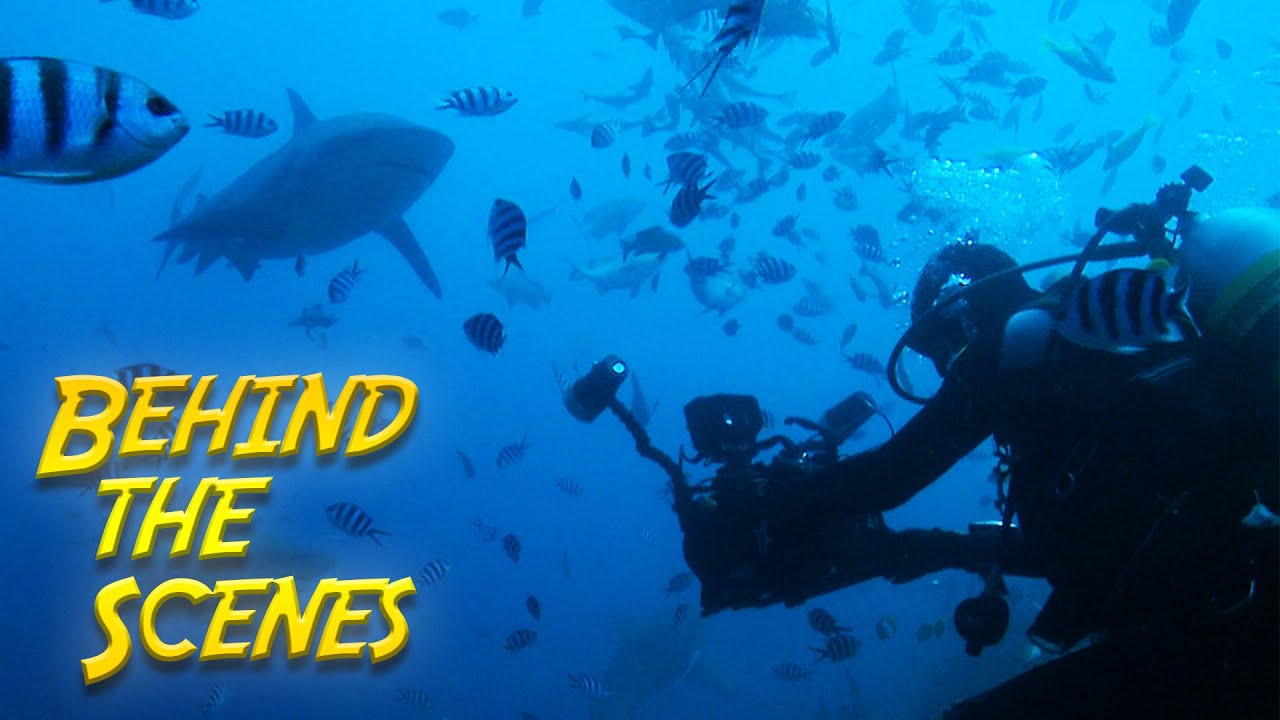 SECRETS OF THE SEA - Behind the Scenes