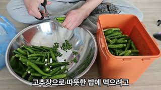 유튜브 썸네일