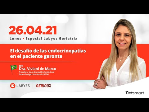 , title : 'El desafío de las endocrinopatías en el paciente geronte'